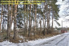 Участки в хвойном и дубовом лесу в Орловщине Новомосковского района (слобода) | Стоимость, прайс-листы и цены в городе Новомосковск