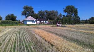 Продам дом и земельный участок 0,8га, Днепропетровская обл, Царичанский район, село Преображенка | Стоимость, прайс-листы и цены в городе Царичанка
