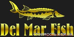 Продажа малька Стерляди | Стоимость, прайс-листы и цены в городе Васильков