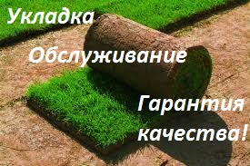 Рулонный газон отличного качества! Продажа и укладка. | Стоимость, прайс-листы и цены в городе Харьков