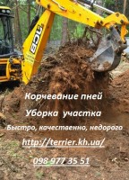 Уборка участка быстро, качественно, недорого! | Стоимость, прайс-листы и цены в городе Харьков