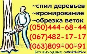 Спиливание деревьев Днепропетровск. Валка, спил деревьев бензопилой в Днепропетровске. | Стоимость, прайс-листы и цены в городе Днепр